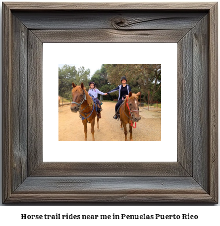 horse trail rides near me in Peuelas, Puerto Rico